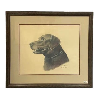 Louis Frisino Signed Limited Edition Chocolate Labrador Retriever Print #577/600 For Sale