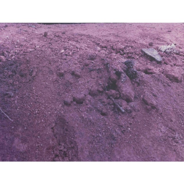 1990s Jan Staller "Untitled (Boulder)", 1998 For Sale - Image 5 of 8