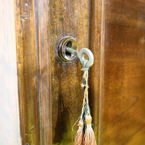 Antique Walnut One-Door Wardrobe with Two Drawers