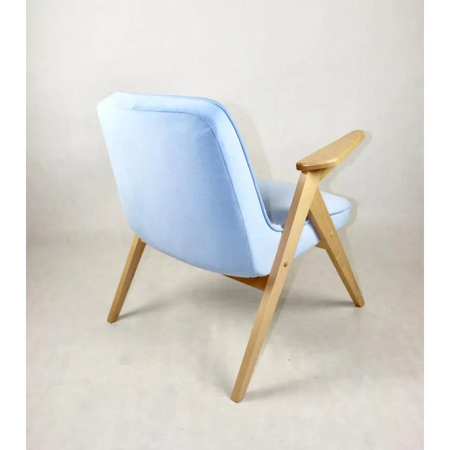 Blue Light Blue Bunny Armchair by Józef Chierowski For Sale - Image 8 of 11