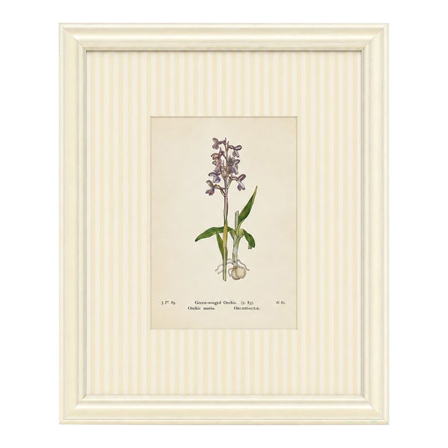 Set of Twelve Antique Alpine Botanical Chromolithographs Circa 1909 in Custom Frames. For Sale