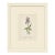 Set of Twelve Antique Alpine Botanical Chromolithographs Circa 1909 in Custom Frames. For Sale