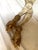 Early 20th C. Hand Carved Continental Parcel Gilt Eagle Motif Wall Sconces - A Pair For Sale - Image 10 of 11