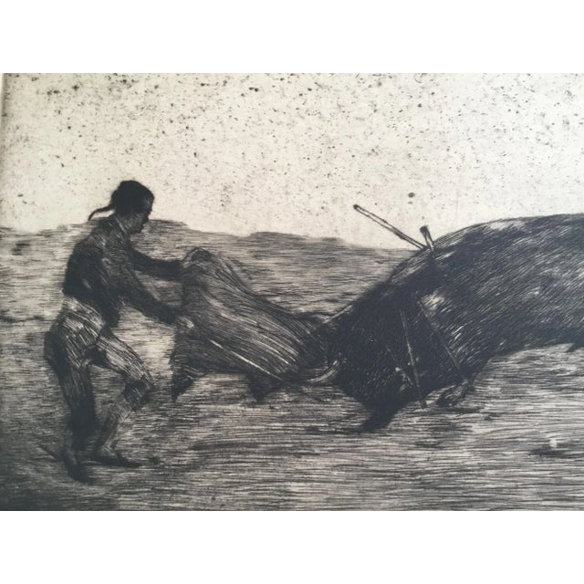 Antique Original Bullfight Etching For Sale - Image 10 of 13