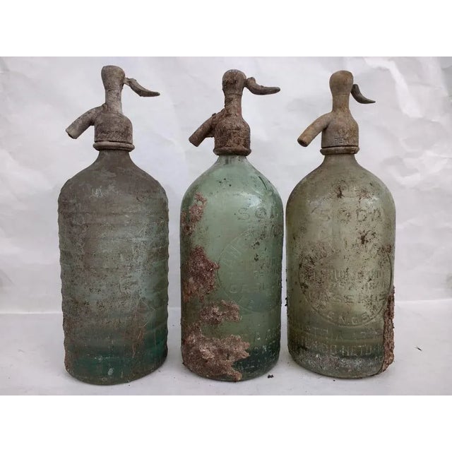 1930s Shades of Blue Vintage Seltzers - Set of 4 For Sale - Image 5 of 7