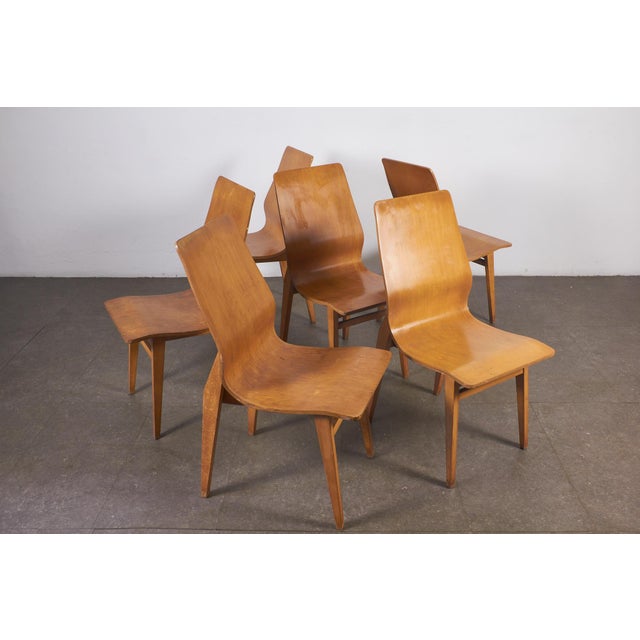 Vintage Curved Plywood Chairs, 1950s, Set of 6 For Sale - Image 16 of 18