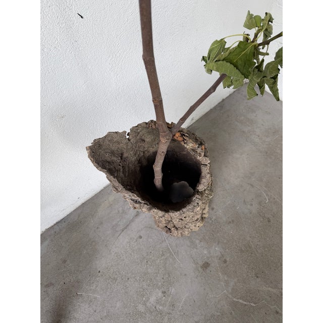 Vintage Cork Bark Vase, 1970s For Sale - Image 13 of 18