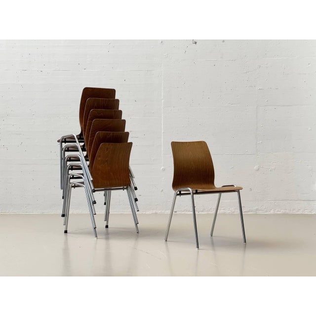 Vintage Chair with Tubular Steel Frame by Kilo und Pagholz-Schale for Lignarit, 1960s For Sale - Image 17 of 17