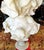 Italian Alabaster Marble Bust Figurine For Sale - Image 4 of 8