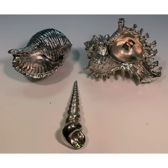 2000s Polished Nickel Casted Shells- Set of 3 For Sale - Image 4 of 12