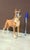 1970s Boxer Figurine from Vaga Internacional, 1970 For Sale - Image 5 of 9