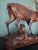 1950s Antique Black Forest Glass and Carved Wood Sculpture of a Roaring Stag, 1950s For Sale - Image 5 of 10