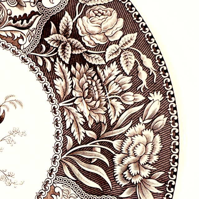 Spode Archive Collection Umber Floral Luncheon Plates - Set of 8 For Sale - Image 9 of 11