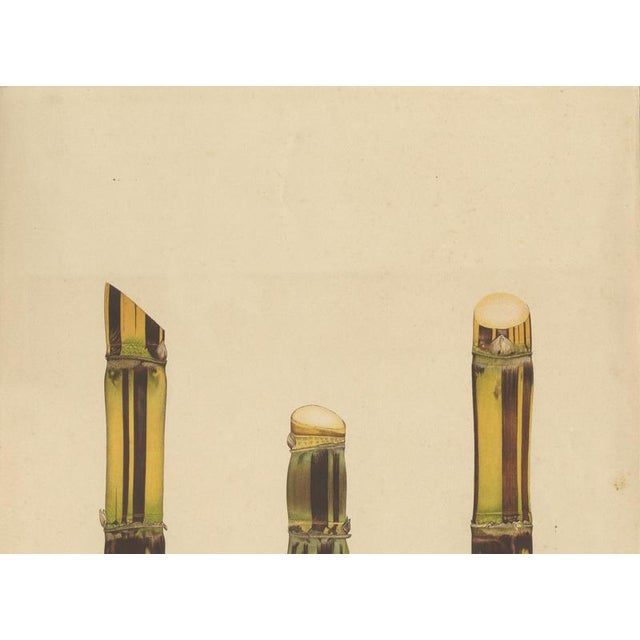 Sugarcane, 1892, Paper For Sale - Image 4 of 10