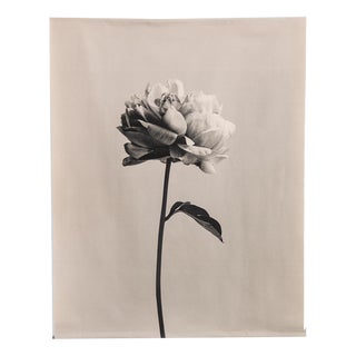 Peony no.3 - Cotton Canvas Scroll, Floral Photography, Limited Edition 2 of 5 2023 For Sale