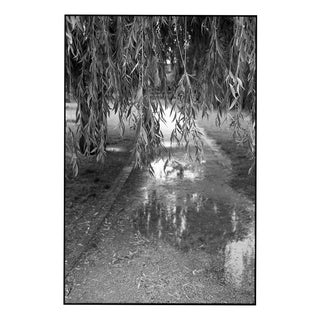 Paul Cooklin, Flooded River Walk, Prague, Edition of 50 For Sale