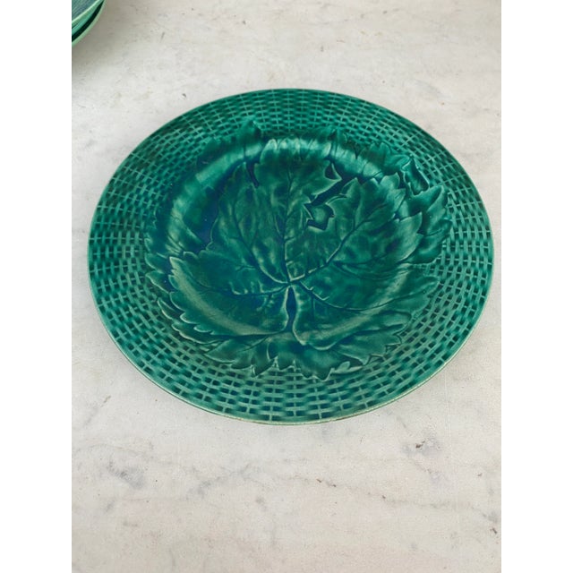 Green Majolica leaves plate, circa 1890.