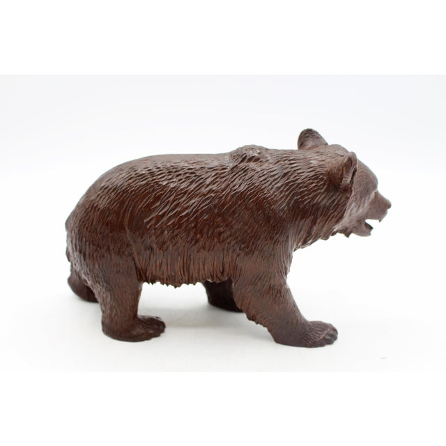 Early 20th Century Circa 1900 Swiss Small-Medium Size Strolling Black Forest Bear For Sale - Image 5 of 5