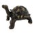 Cast Bronze Tortoise Sculpture For Sale