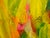 Yellow John Fooks Acrylic on Canvas Abstract Painting For Sale - Image 8 of 12