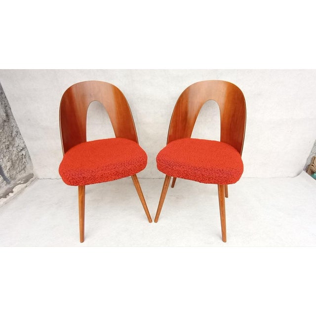 Mid-Century Dining Chairs by Antonin Suman, 1960s, Set of 2, in None conditions. Designed 1960 to 1969