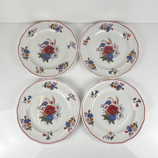 Set of 4 "Agreste" dinner plates, Sarreguemines, late 20th century, Pyroblan porcelain Pyroblan porcelain plate (for...