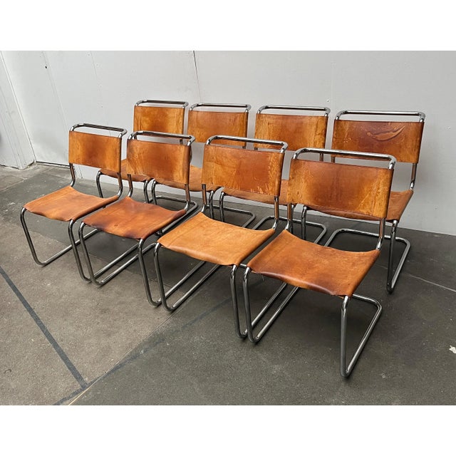Vintage German S33 Cantilever Leather Chairs by Mart Stam for Thonet, Set of 8 For Sale - Image 5 of 18