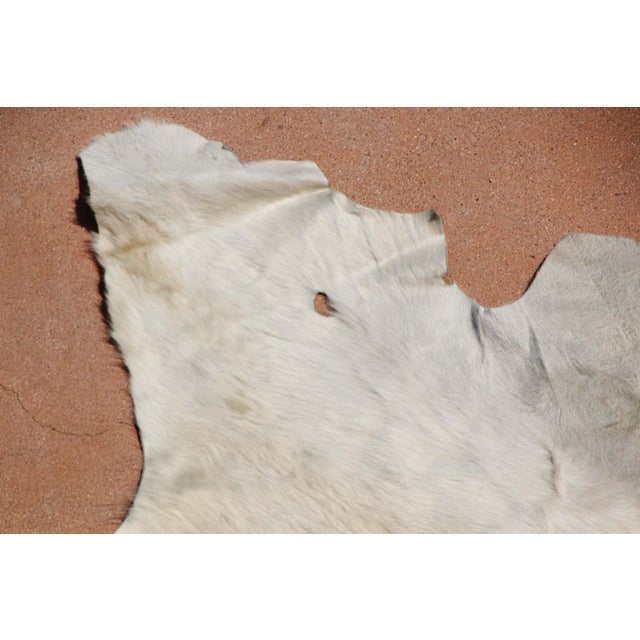 Hand-Crafted White Cowhide Rug from Argentina, Folk Art Style, 1980 For Sale - Image 15 of 18