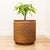 A large cylindrical unglazed Thumbprint planter by David Cressey and Robert Maxwell for Earthgender, made in Southern...