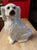Antique Decorated Staffordshire Spaniel Dog, Circa 1860's For Sale - Image 9 of 14