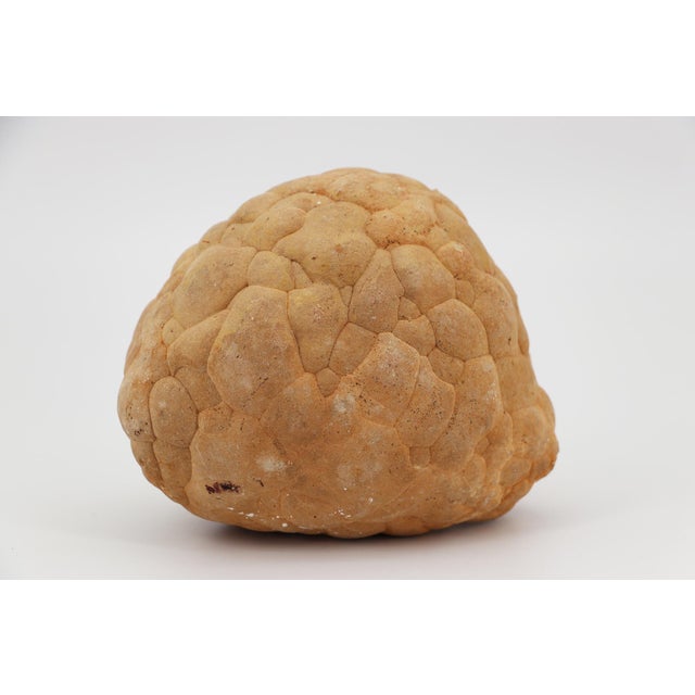 Cerebroid Silex, Middle Jurassic, Iberian Peninsula For Sale - Image 6 of 16