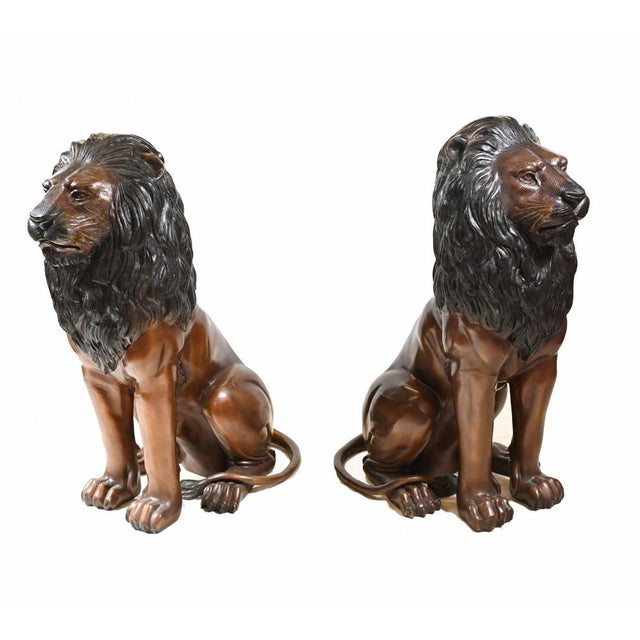 Gorgeous pair of large seated bronze lions - Would work as excellent gatekeepers - Classic Medici lions - Of course being...