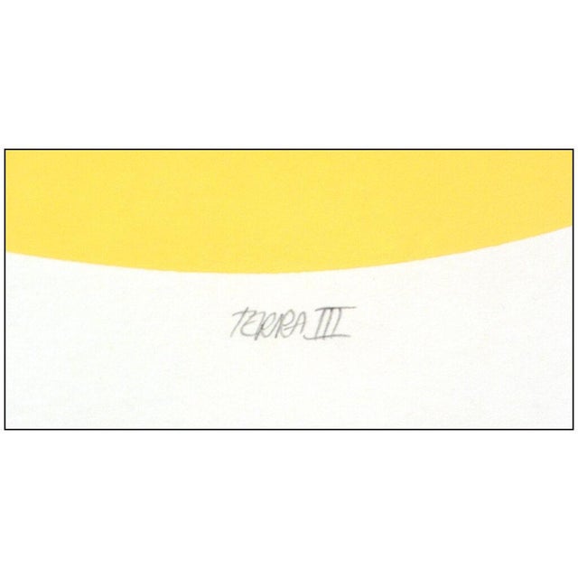 Late 20th Century Late 20th Century Terra III, Doug Danz For Sale - Image 5 of 7