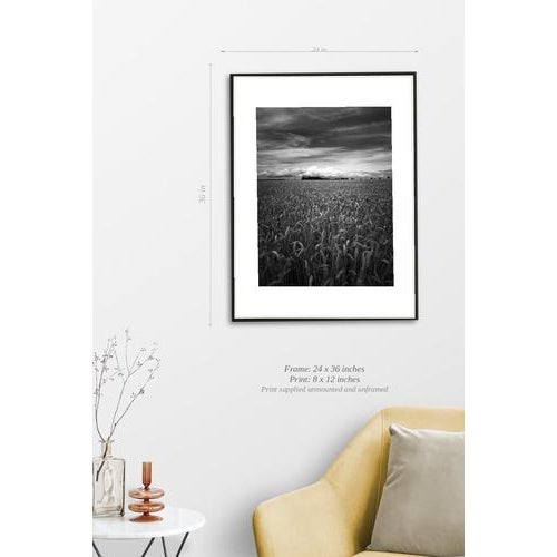 Fine art Giclee prints on Hahnemuhle Photo Rag 308gsm - a 100% cotton, acid-free, mould-made paper. Printed to Fine Art...