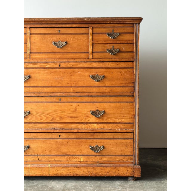 Jas Shoolbred & Co. Ash Chest of Drawers, England, 19th Century For Sale - Image 9 of 18