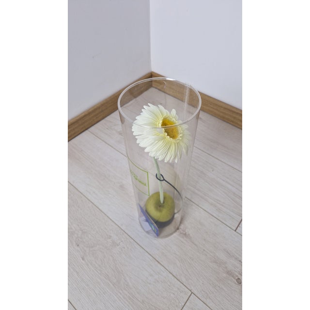 Eva Mono Fiore Flower Vase by Claudia Hamers for Oggetti Latini, 1990s For Sale - Image 16 of 16