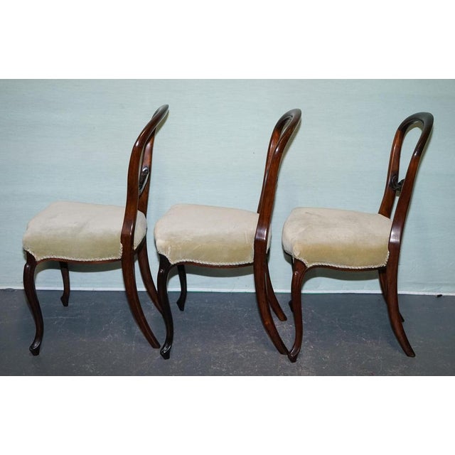 Victorian Balloon Back Dinning Chairs, 1860, Set of 6 For Sale - Image 6 of 18