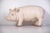 Vintage Large Butcher's Pig Shop Display, Former Czechoslovakia, 1980s For Sale - Image 12 of 12