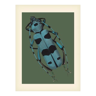 Bugs by Seguy #9 For Sale