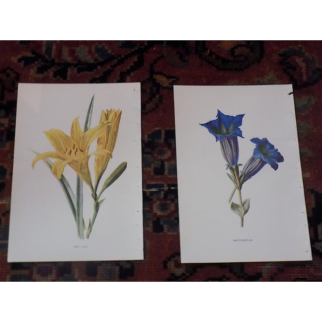 We made a super buy and are passing on the savings! This set of twelve (12) late 19th century lithographs (offset) by...