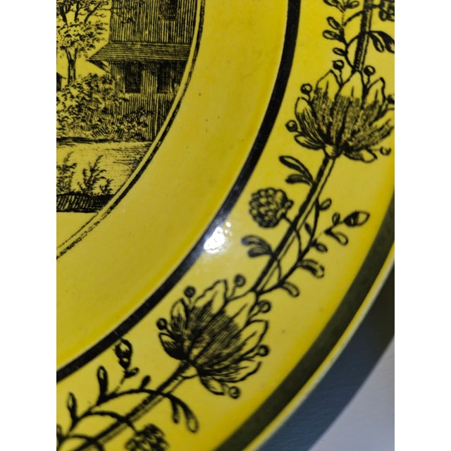 French Creil Soft Paste Plates in Mustard Yellow - a Set For Sale - Image 4 of 7