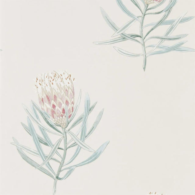 Sanderson Protea Flower Wallpaper in Porcelain/Blush For Sale