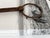 Metal 1900s Antique Horse Bits, Set of 2 For Sale - Image 7 of 8