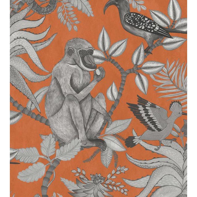 Savuti Wallpaper by Cole & Son Sample Chairish