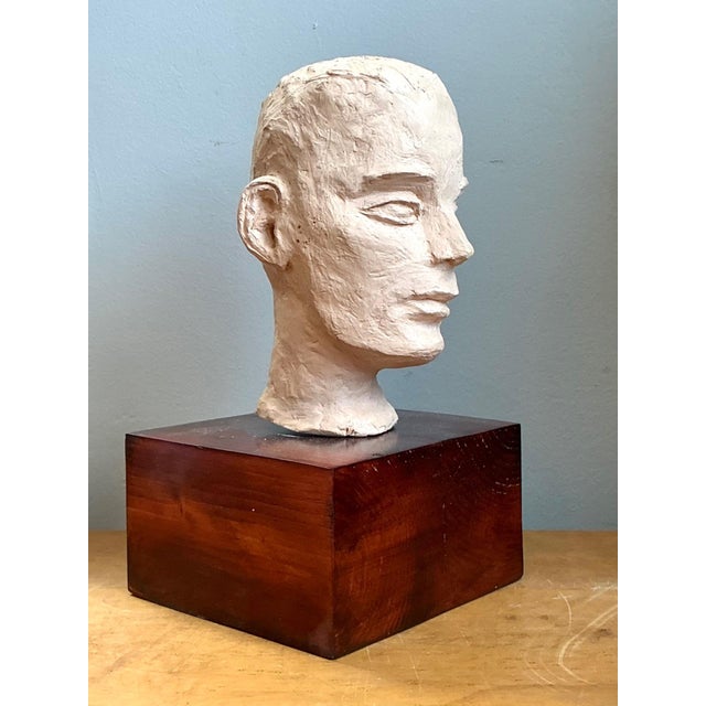 Vintage Plaster Bust of Man For Sale - Image 9 of 18