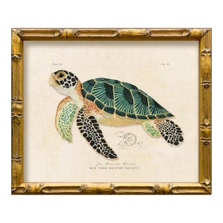 Contemporary Reproduction of Vintage "Green Sea Turtle" Giclee Print, Framed For Sale
