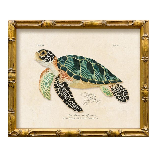 Contemporary Reproduction of Vintage "Green Sea Turtle" Giclee Print, Framed For Sale