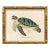 Contemporary Reproduction of Vintage "Green Sea Turtle" Giclee Print, Framed For Sale
