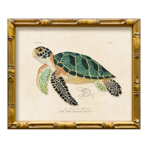 Contemporary Reproduction of Vintage "Green Sea Turtle" Giclee Print, Framed
