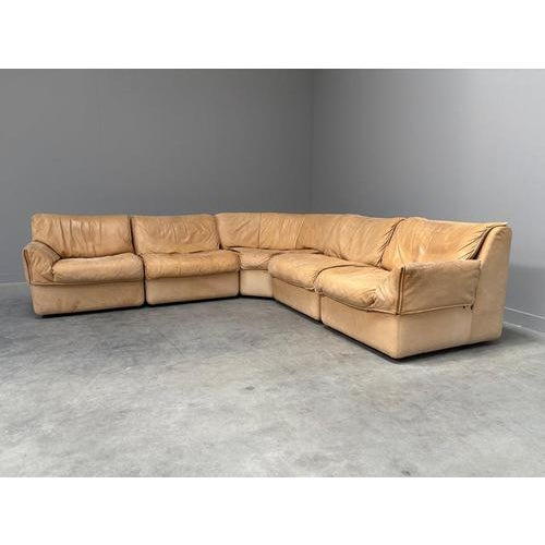 Modular Leather Lounge Sofa from Cor, 1970s, Set of 5 For Sale - Image 4 of 18